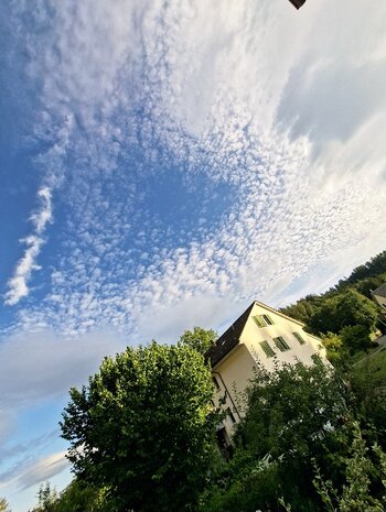 20260705_201153.jpg