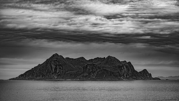 DSC_3120-3.jpg