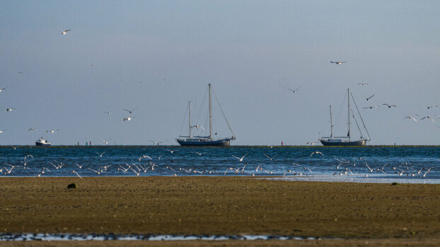 DSC_3486.jpg