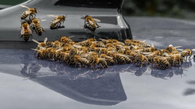 2026-07-14-14-25-36-NIKON Z 5.jpg