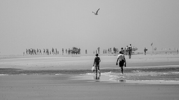 DSC_3553.jpg