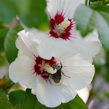 2607_Makros_im_Park_097_01.jpg