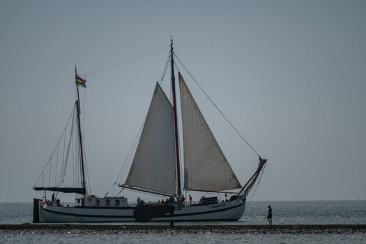 DSC_3607.jpg