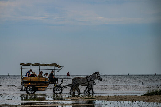 DSC_3599-2.jpg