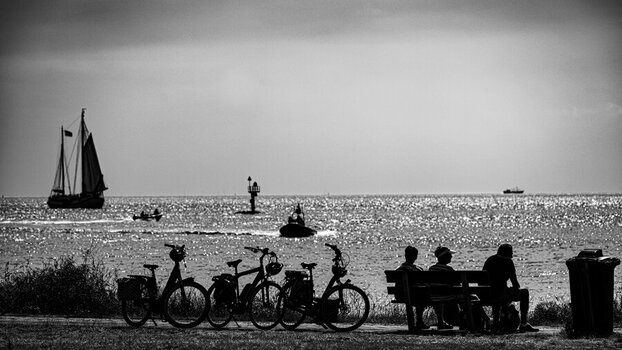 DSC_3602.jpg