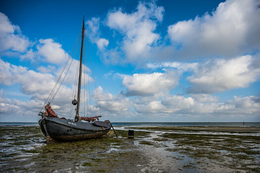 DSC_3655-2.jpg