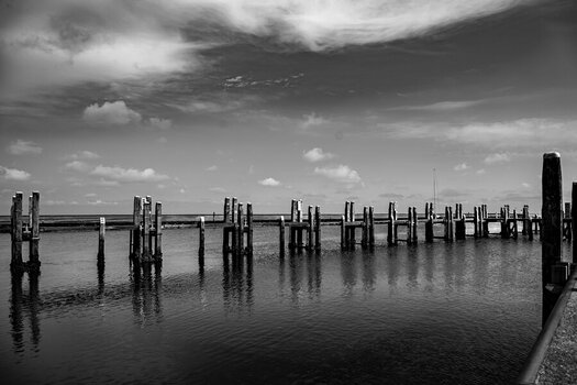 DSC_3636-2.jpg