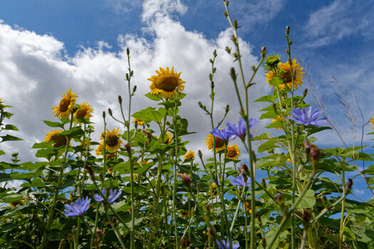 DSC_0785_DxO.jpg