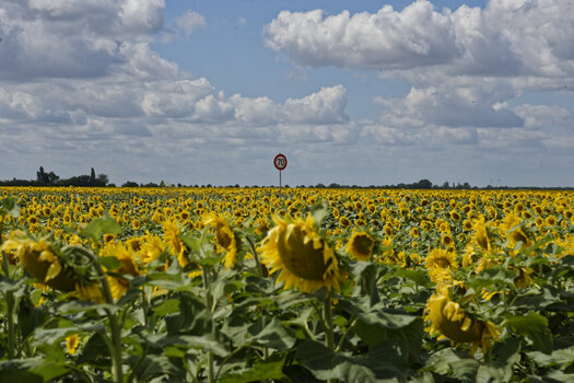DSC_0791_DxO_1.jpg