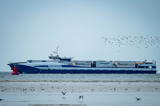 DSC_3593.jpg