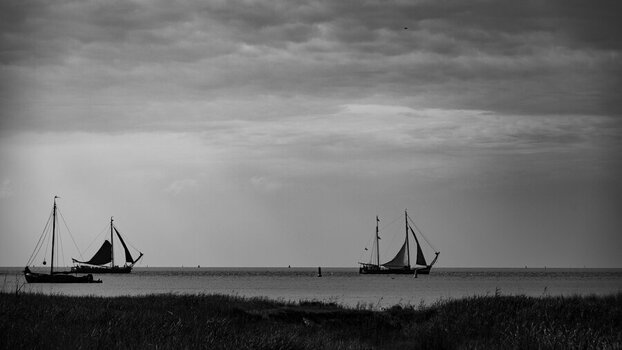 DSC_3577.jpg