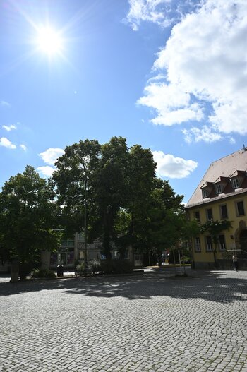 V21.jpg