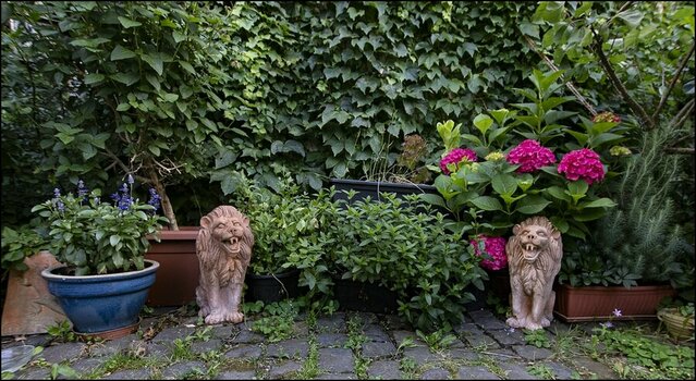 comp_Gartenwache.jpg