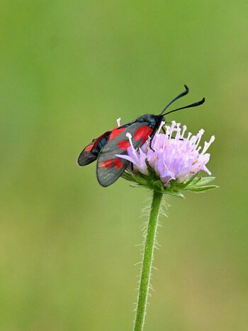 DSC_1692_106.JPG