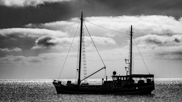 DSC_3471.jpg