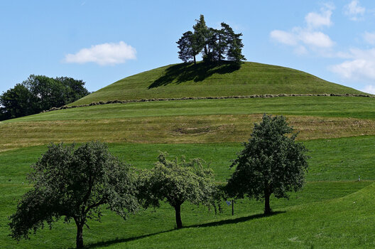 DSC_6067.f.jpg