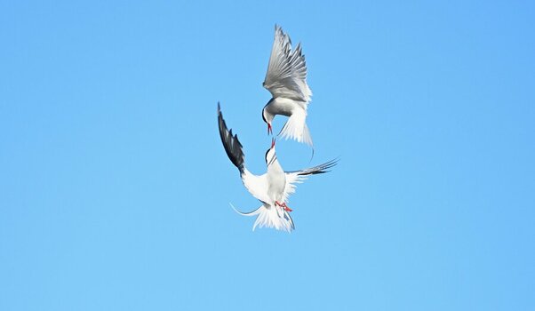 DSC_7795_2.JPG