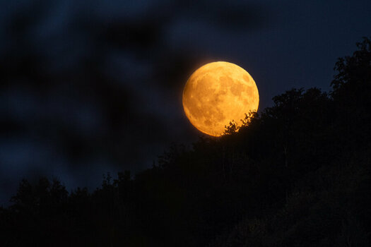 ROB_3888 Mond DB.jpg