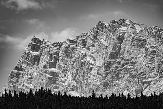 DSC_3672.jpg