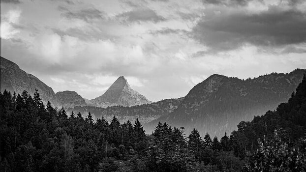 DSC_3712-2.jpg