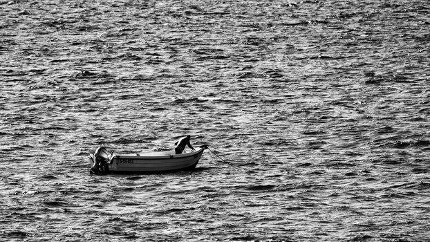 DSC_3231.jpg