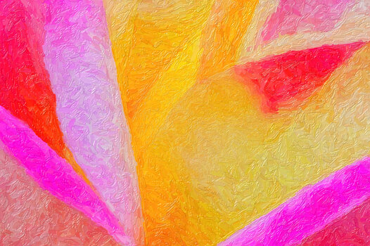 RoseMulticolorSL3Si20200ABSTRAKTNURFARBENARTWORK.jpg