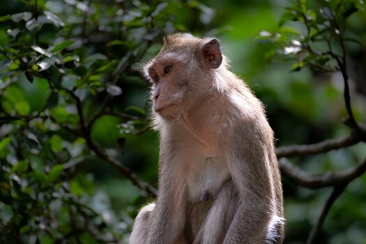 DSC_4102-bearb.jpg