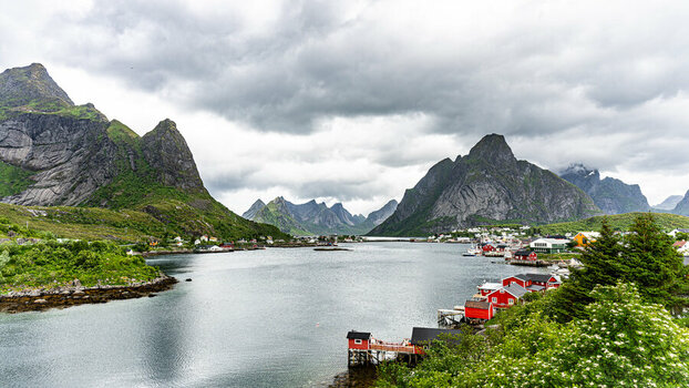 DSC_2500-2.jpg