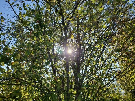 20260813_180347.jpeg