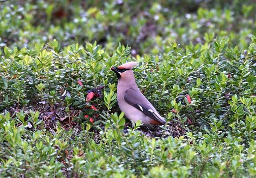 DSC_6312_2.JPG
