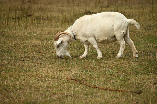DSC_4099_144.JPG