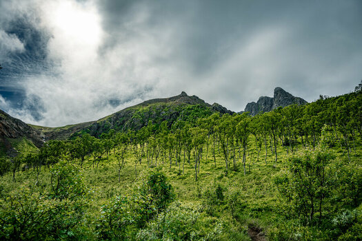 DSC_2772.jpg