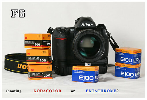 F6 cameraporn 3 Kodacolor or Ektachrome web.jpg
