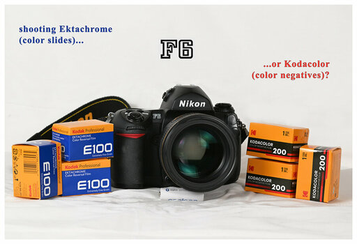 F6 cameraporn p5 web.jpg