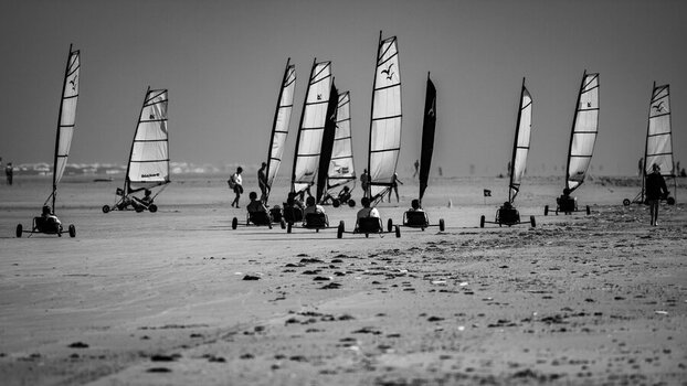 DSC_3411.jpg