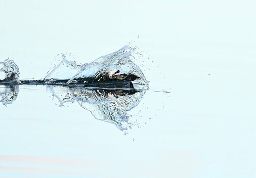 DSC_4278.JPG