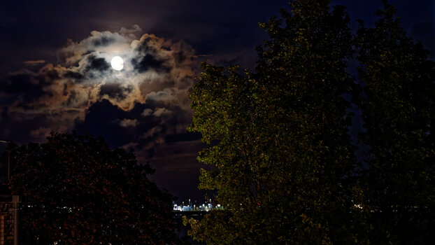 ECK-moonlight-(2)_2026_DxO.jpg
