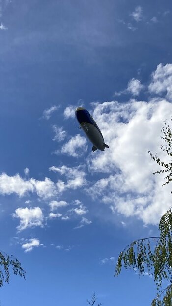 IMG_3763.jpeg