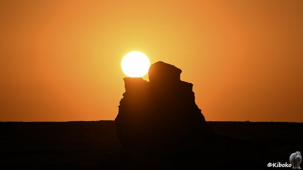 s251210_0659_WhiteDesert_6910.jpg