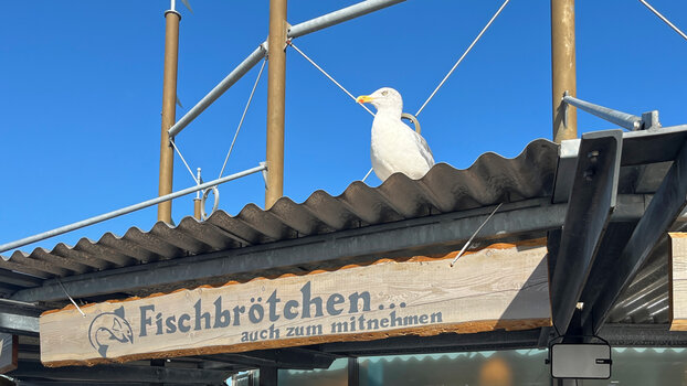 ECK_Fischbrötchen_2026_DxO.jpg