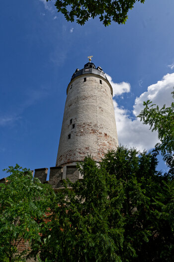DSC_2959_DxO.jpg