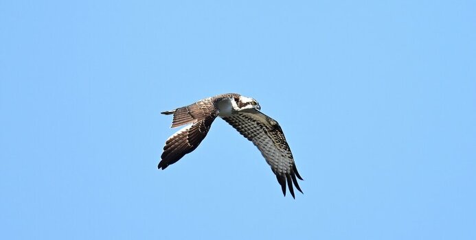 DSC_7658.jpg