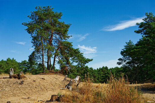 2609_Lommel-Sahara_038_1_DxO_hqfc-2.jpg