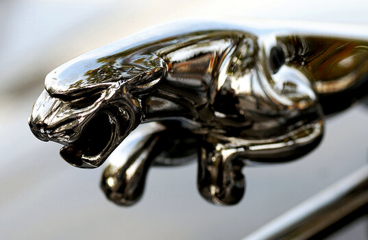 Jaguar.jpg