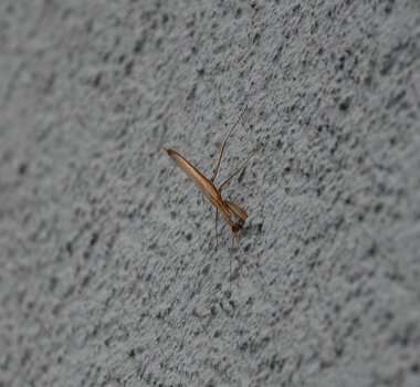 comp_DSC_0227.jpg