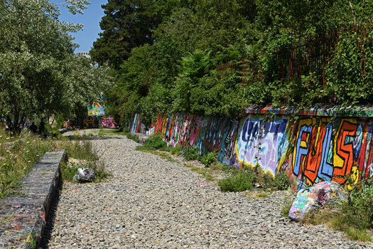 DSC_9875.f.jpg