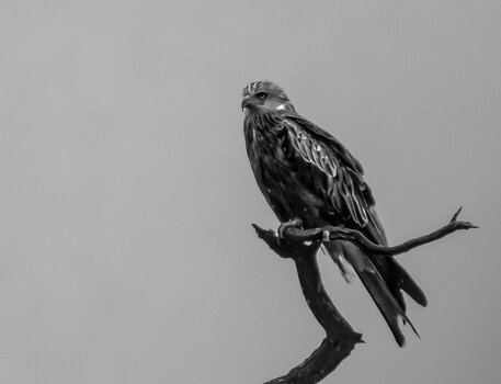 fa1680b8-1efb-4f9f-8708-6d05f36593de.jpeg fa1680b8-1efb-4f9f-8708-6d05f36593de.jpeg