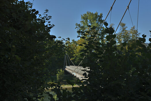 DSC_0831.2.f.jpg