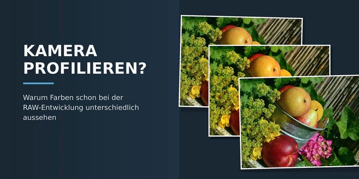 Dasselbe Fotomotiv mit unterschiedlichen Farbinterpretationen bei der RAW-Entwicklung Dasselbe Fotomotiv mit unterschiedlichen Farbinterpretationen bei der RAW-Entwicklung