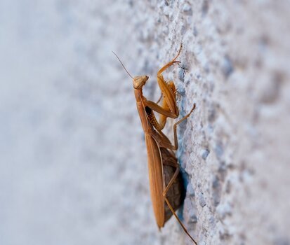 comp_DSC_0242.jpg